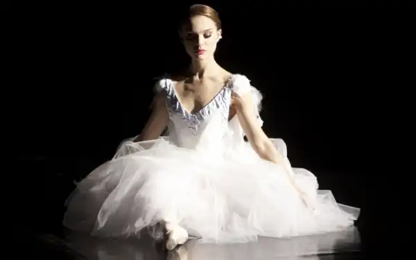 cisne negro