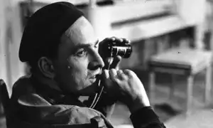 Bergman 02