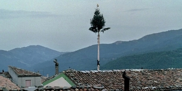 as quatro voltas as quatro voltas