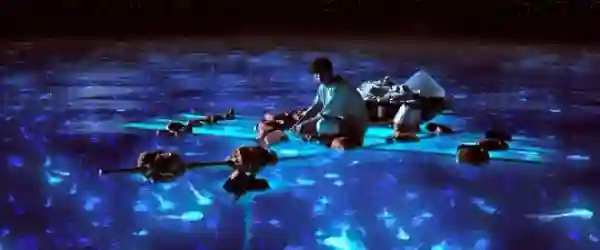 Life of Pi e1357879870723