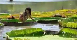 taina4