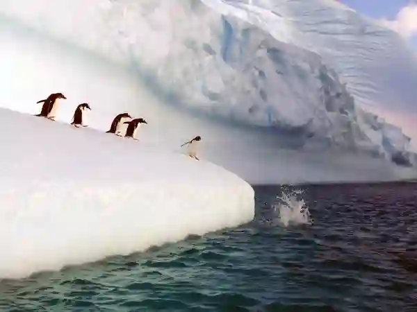 antartida antartida