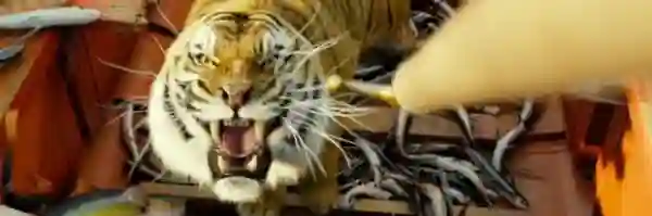 Life of Pi e1366385216658