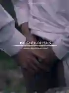Palacios de pena Poster papo de cinema