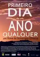 POSTER O primeiro ano de um ano qualquer papo de cinema