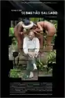 revelando sebastiao salgado papo de cinema