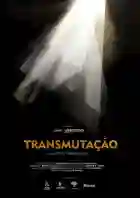 transmutacao papo de cinema