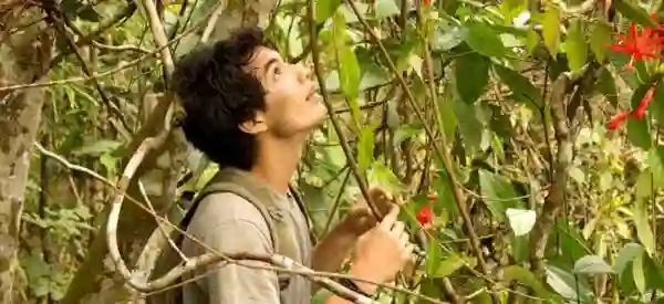 a-floresta-de-jonathas-papo-de-cinema-02