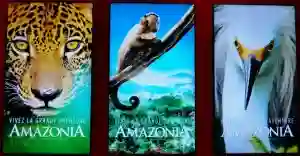 Amazonia