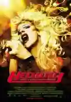 hedwig rock amor e traicao papo de cinema