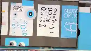 nervoóptico papo de cinema