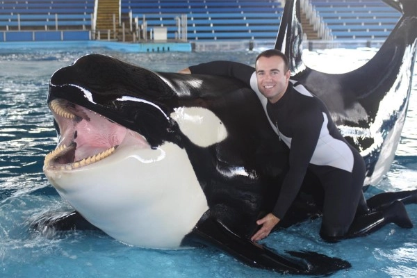 blackfish-papo-de-cinema blackfish papo de cinema