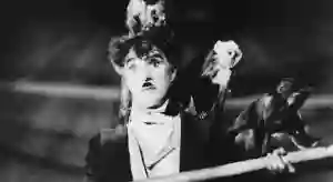 o circo papo de cinema