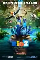 seis graus rio papo de cinema01a