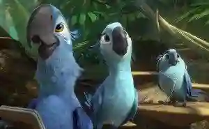 rio 2 papo de cinema