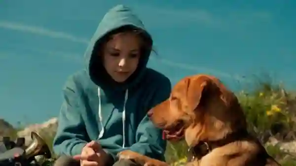 WhiteGod1
