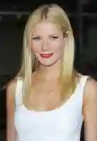 gwyneth paltrow papo de cinema
