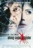 seis graus aranhas papo de cinema 11