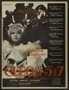 seis graus praia papo de cinema 9