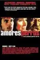 amores brutos papo de cinema