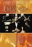 carater papo de cinema