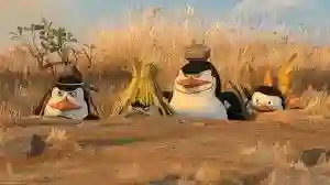 os pinguins de madagascar papo de cinema 05