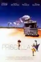 priscilla a rainha do deserto papo de cinema