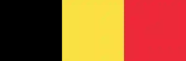 20140704 belgica bandeira papo de cinema e1404447905477