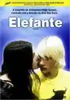 20140718 elefante papo de cinema 11 e1405719232717