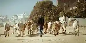 20140721 mil sois papo de cinema