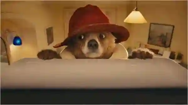 20140820 as aventuras de paddington papo de cinema