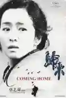 20141013 coming home papo de cinema