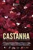 20141114 castanha poster papo de cinema1 e1415974641274