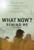 20141114 e agora lembra me poster papo de cinema