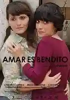 20141116 amar es bendito poster papo de cinema