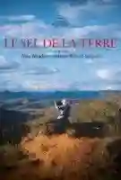 20141116 o sal da terra poster papo de cinema