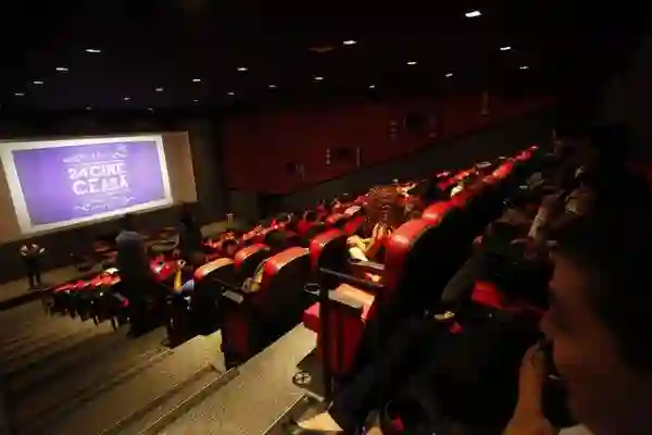 20141117 mostra olhar do ceara papo de cinema1
