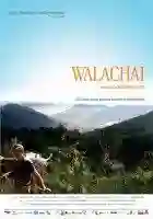 20141212 walachai papodecinema