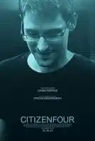 20150411 cidadaoquatro poster papo de cinema