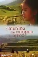 20150528 a menina dos campos de arroz poster papo de cinema