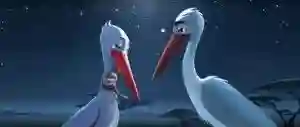 20150603 storks