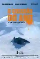 20150620 minha querida dama papo de cinema