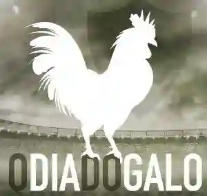 20150701 o dia do galo e1435778236158