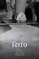 20150810 ferro