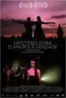 20150822 poster hipoteses para o amor e a verdade papo de cinema