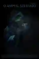 11951791_945831302121267_1575307346271475475_n