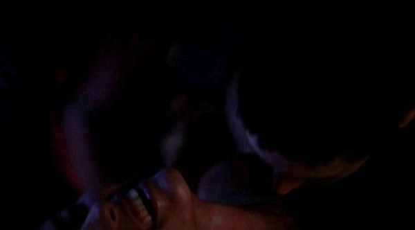 O Animal Sonhado 2 1013632_478135402327750_1529791400864569019_n1