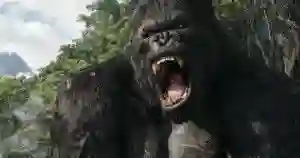 _kongskull