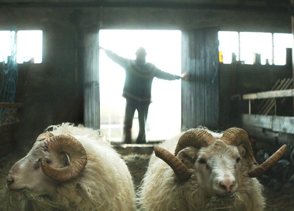 A Ovelha Negra 3 01-a-ovelha-negra-papo-de-cinema