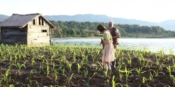 ilha-milharal-papo-de-cinema-02